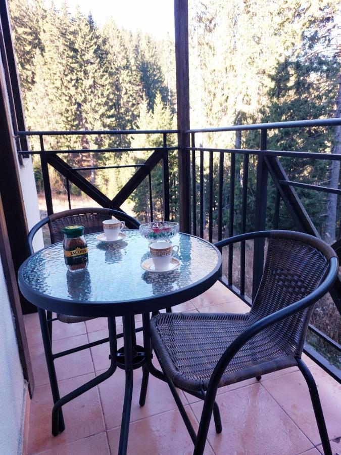 Pamporovo Apartment The Castle 外观 照片
